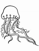 Coloring Jellyfish Book Octopus Ocean Advertisement Coloringpagebook sketch template