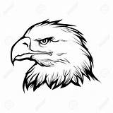 Eagle Head Clipart Vector Realistic Tribal Animal Drawing Illustration Bald Outline Drawings Tattoo Draw Stock Eagles Getdrawings Aigle Simple Cliparts sketch template