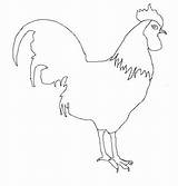 Rooster Coloring Book Chooks sketch template