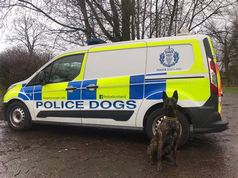 police dogs  sale uk