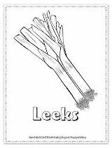 Coloring Pages Printable Onions Kids Leeks Related Post sketch template