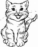 Gato Colorear Colouring Kitty sketch template