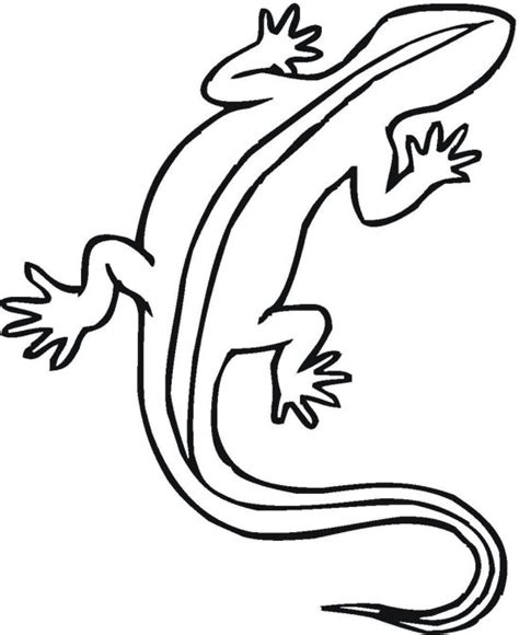 reptiles coloring pages  kids updated