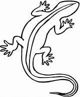 Reptile Reptiles Coloring Drawing Pages Getdrawings sketch template