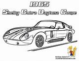 Coloring Cobra Car Pages Shelby Daytona 1965 Cars Yescoloring Book Race Coupe Kids sketch template