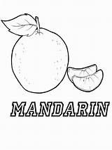 Mandarin Tangerine sketch template