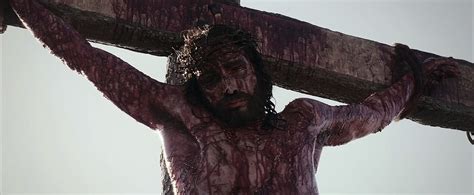 The Passion Of The Christ And The History Of Salvation