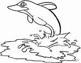 Dolphin Delfino Delfin Stampare Delfini Dauphin Kolorowanki Dolphins Disegno Disegnare sketch template