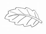 Leaf Coloring Printable Maple Template Pages Popular sketch template