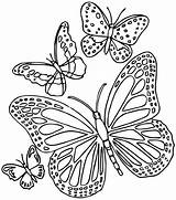 Butterfly Mandala Coloring Pages Mandalas Printable Color Print Getcolorings sketch template