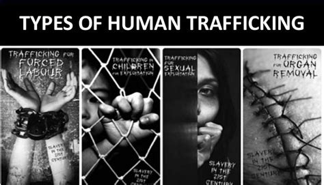 states laws passed against human trafficking