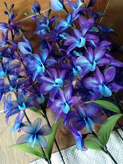 blue orchid flower ideas  pinterest blue orchids orchid flowers  blue