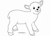 Lamb Coloring Reddit Email Coloringpage Twitter sketch template