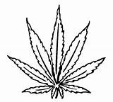 Leaf Weed Marijuana Pot Coloring Clipart Pages Drawing Outline Plant Clip Hemp Stencil Printable Designs Clipartmag Color Getcolorings Clipartbest Cliparts sketch template
