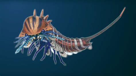 cambrian sea predator had ‘jackknife head paleontology sci