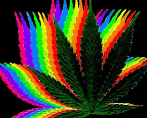 trippy galaxy weed flags wallpapers  wallpaperdog