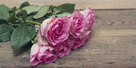 16 romantic flower meanings symbolism of different kinds