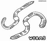 Worm Wurm Ausmalbild sketch template