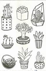 Cactus Coloring Pages Succulents Print Colouring Color Easy Adult Choose Board Flowers Cacti Draw sketch template