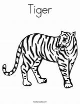 Tiger Coloring Animals Twisty Built California Usa sketch template