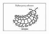 Bichos Dibujos Cienpies Ciempies Insectos Ciempiés Escuelaenlanube Aula 방문 sketch template