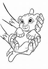 Coloring Simba Lion King Pages Baby Printable Animal Introducing Kingdom sketch template
