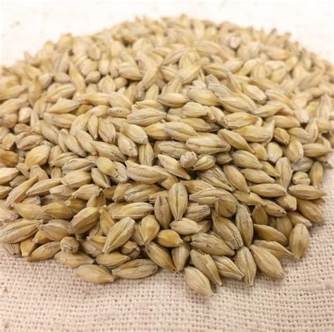 barley organic barley  holdings enterprises