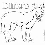Dingo Coloring Pages Easy Print Sheets Kids Printable Animal Pdf Coloringfolder Animals Getcolorings Getdrawings Color sketch template