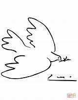 Coloring Picasso Dove Peace Pages Drawing Original Printable Super sketch template
