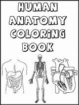Human Coloring Body Pages Printable Educational Kids Color sketch template