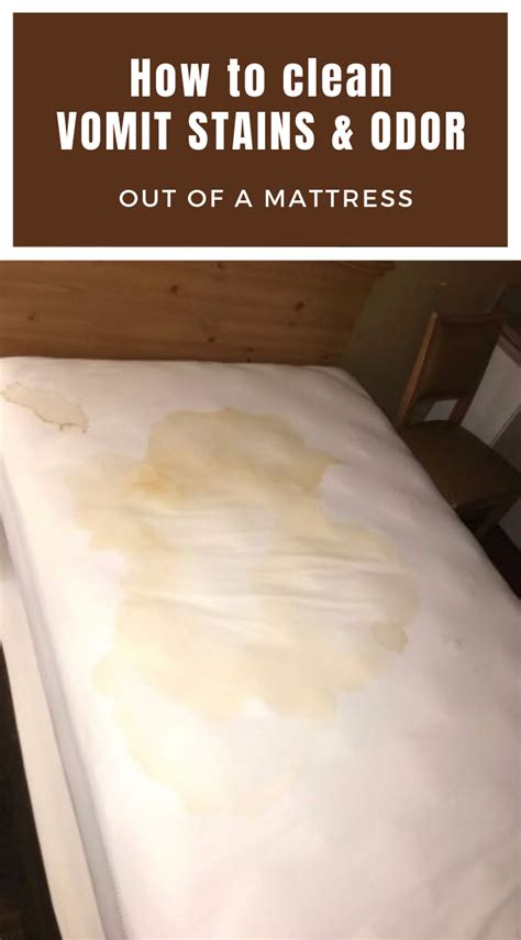 clean vomit stains  odor    mattress cleaningtips