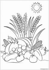 Fall Pages Harvest Coloring Printable Color sketch template