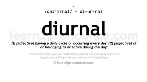 pronunciation  diurnal definition  diurnal youtube