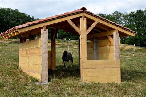 dscjpg  pixels pasture shelter horse