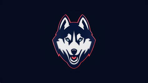 uconn athletics logo animation