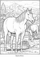 Horse Doverpublications Coloring Pages Dover Publications Colouring Adult Zb Samples Welcome sketch template