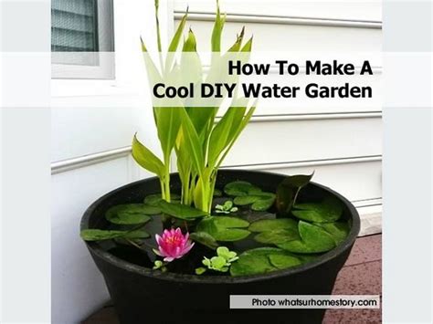 cool diy water garden