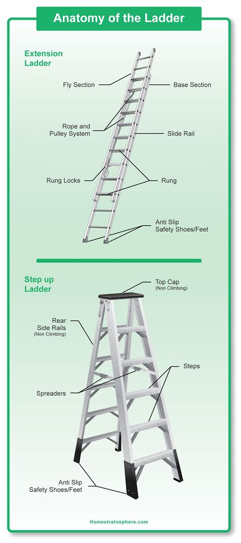parts   ladder diagrams  step  extension ladders ladder step ladder diagram