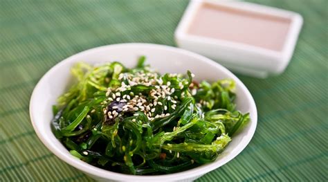 fresh seaweed suppliers   offline fresh seaweed suppliers seaweed producers wasabi