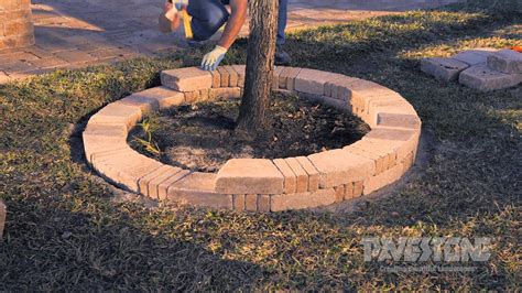 favorite tree ring design curved bricks  straight bricks