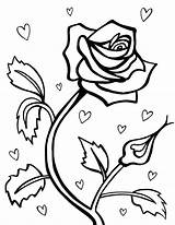 Coloring Roses Hearts Pages Rose Kids sketch template