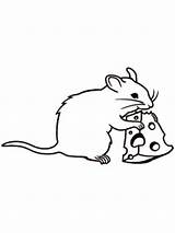 Rat Coloring Cheese Mouse Pages Drawing Eating Rats Color Animals Cute Fink Swiss Lab Popular Getdrawings Clipartmag Getcolorings Template sketch template