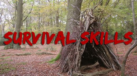 survival skills apocalyptic survival guide