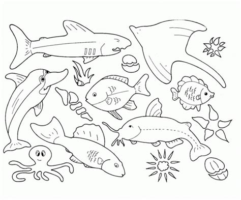 water animals coloring pictures total update