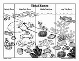 Coloring Zone Zones Ocean sketch template