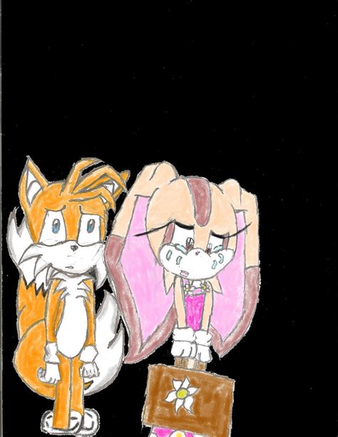 goodbye tails  cream colored  babethehedghog  deviantart