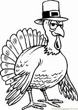 Turkey Coloring Thanksgiving Pages Hat Wearing Color Turkeys Printable Cartoon Dinner Printables Clipart Drawing Kids Cliparts Holidays Online Book Coloringpages101 sketch template