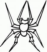 Spider Coloring Pages Printable Widow Wolf Spiders Kids Cute Drawing Bus Little Marvel Designlooter Snakes Plane Try Bestcoloringpagesforkids 1191 77kb sketch template