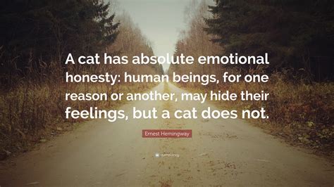 Ernest Hemingway Quotes About Cats Daily Quotes