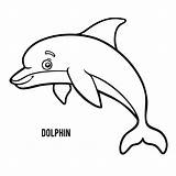 Dolphin Delfines Delphin Dauphin Delfino Malbuch Delfini Lettuce Similares Illustrationen Vektoren Vecteurs sketch template